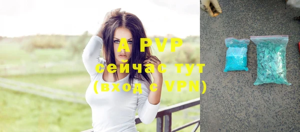прущая мука Инсар