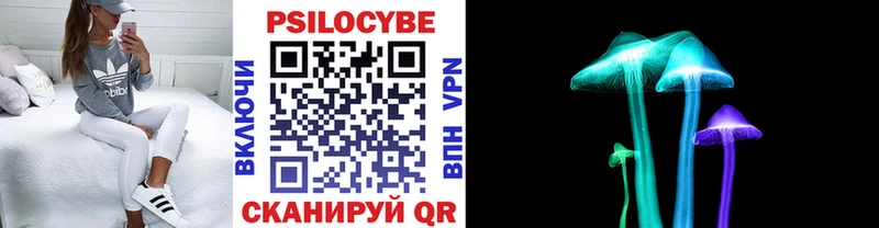 Галлюциногенные грибы Psilocybine cubensis  Купить  Горячий Ключ 